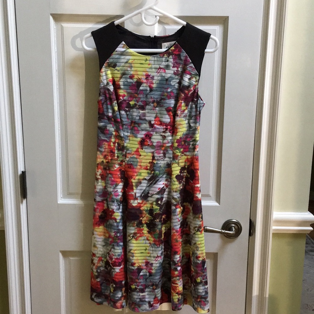 ECI New York Print Sleeveless Lined Dress Size Small